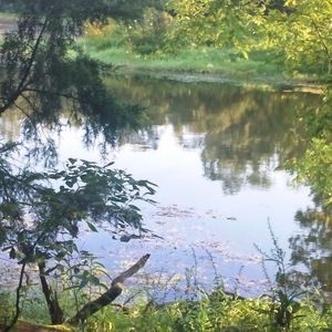 Meet your Posher, Joseph